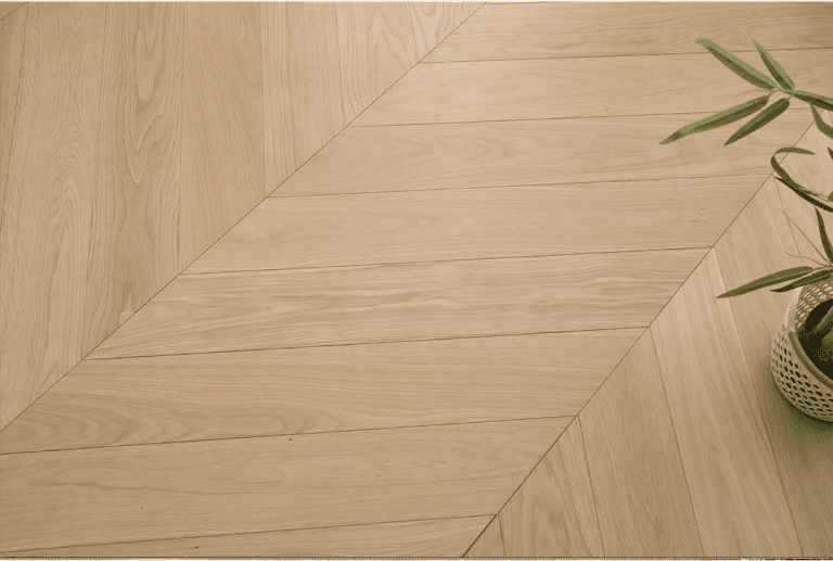 8b9c3560e850cdecaa57e84a5bf7c4de1(1)